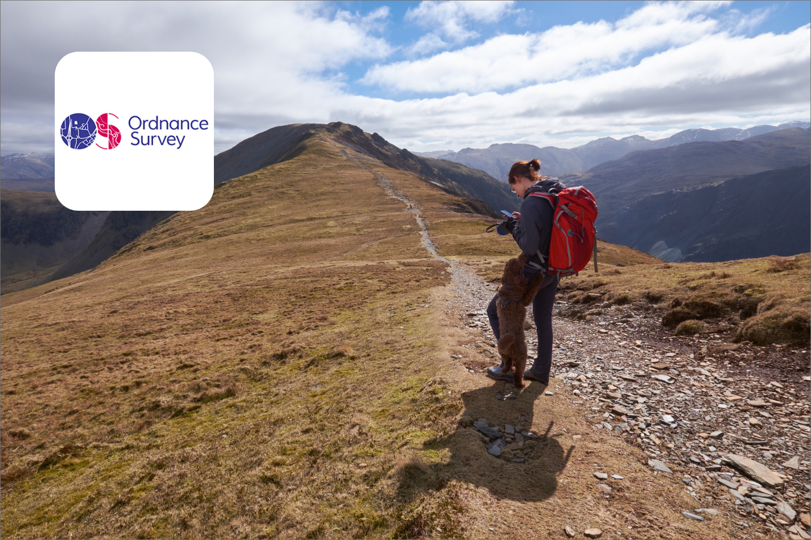 Dotdigital | Ordnance Survey Case Study